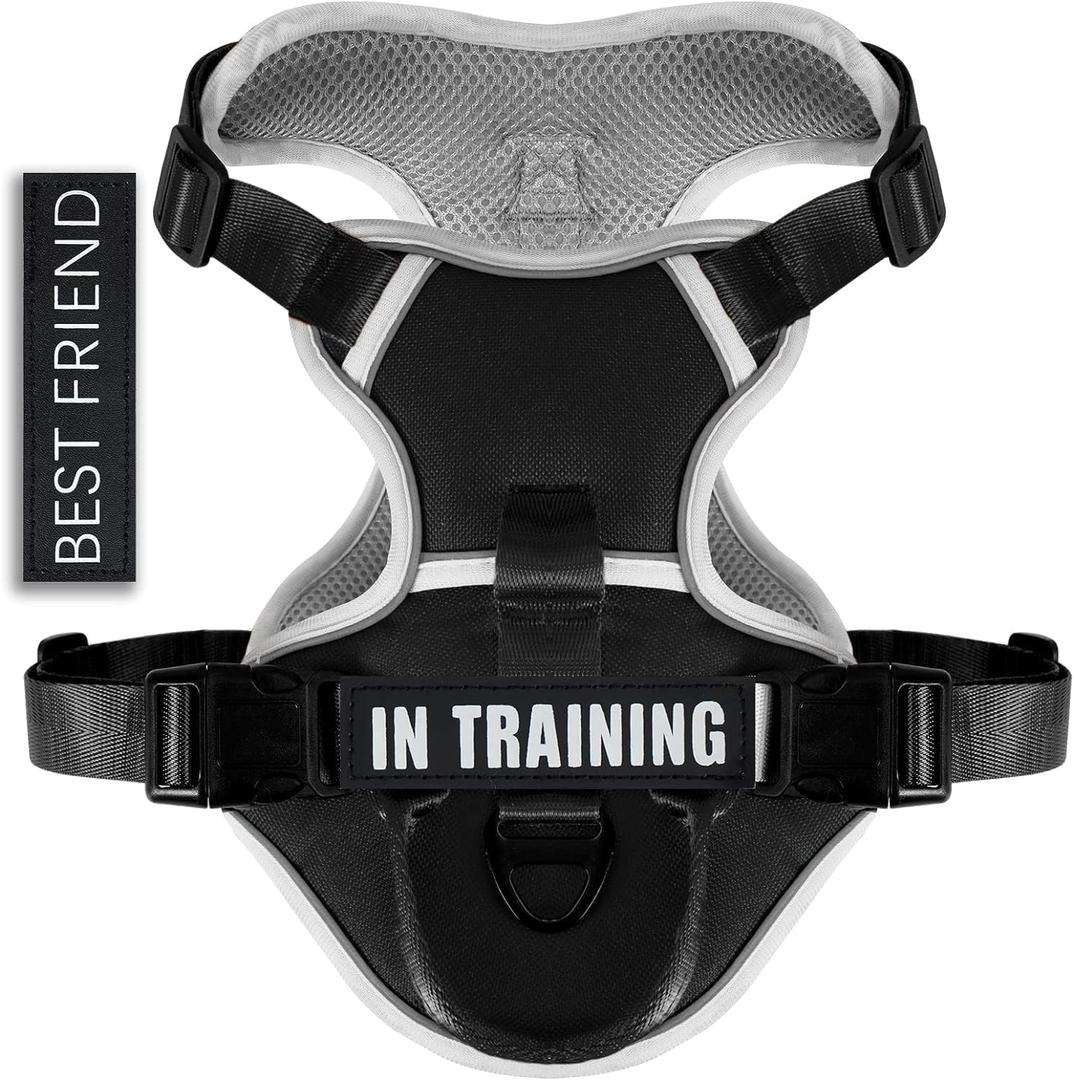 No Pull Dog Harness, Reflective Dog Vest Harness with Front & Back 2 Leash Clips, Oxford Pet Harness Adjustable Soft Padded Dog Vest with Easy Control Handle for Small Medium Large Dogs (Small (Pack of 1), Black)