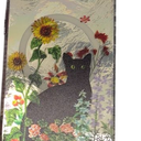 iPhone 16 E Case