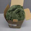 Bedsure GentleSoft Bronze Green Throw Blanket for Couch - Checkered Fleece Spring Blankets Gifts for Kids Girls, Cute Soft Cozy Throw for Bedroom Home Decor Gifts, 50x60 Inches