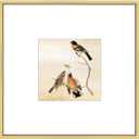 8x8 Picture Frame, Brass Metal Square Photo Frames with HD Glass, Fits 5x5 with Mat or 8 x 8 without Mat, Display for Wall and Table, 1 Pack