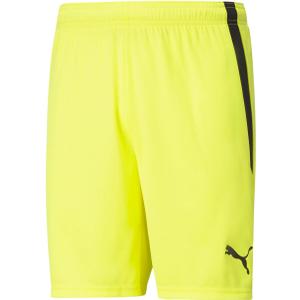 PUMA Mens Teamliga Shorts Casual Bottoms Casual Drawstring (Green, M)