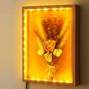 Shadow Box with LED Light for Dried Flowers, Changeable Picture Display & Storage, Frame Wall-mounted & Tabletop Art Display Shadow Box Frame (Light Red)