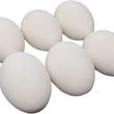 Geiserailie 24 Pcs Ceramic Eggs Fake Eggs DIY Ceramic Crafts for Help Laying Hen for Farm Home Nesting Box Agricultural Tool(White)