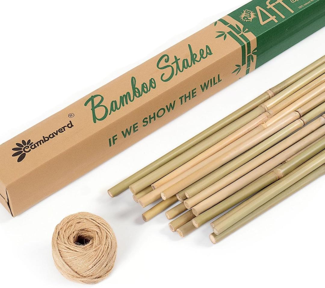 Cambaverd Bamboo Stakes 4 Feet Thicker Garden Stakes with Garden Twine, Diameter of 0.55in Natural Plant Stakes Bamboo Poles for Climbing Plants Support Tomato Cage - 20 Pack Bamboo Sticks for Plants