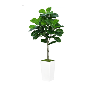 Fiddle Leaf Fig Tree Artificial 5FT - Faux Fiddle Leaf Fig Tree with White Tall Planter - Fake Ficus Lyrata Floor Plant Potted - Artificial Fig Tree for Home Office Living Room Decor Indoor