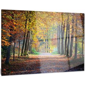 Designart Wide Pathway in Yellow Fall Forest Landscape Photo Metal Wall Art, 28x12, 12'' H x 28'' W x 1'' D 1P