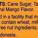 Bali's Best Ginger Chews, Tropical Mango Flavor, 5.08 Oz, Individually Wrapped Soft Candy, Made with 100% Real Ginger, Digestive Health Support, Upset Stomach Relief, Halal (EXP 07/18/26)