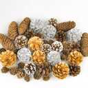 Fangoo 40Pcs Natural Christmas Gold Silver Pine Cones Bulk Snow Spruce PineCones Ornaments for Christmas Tree Autumn Winter DIY Wreaths Crafts Decorating Xmas Thanksgiving Fall Decor Bowl Fillers