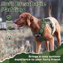 Rabbitgoo Tactical Dog Harness for Small Dogs, No Pull Military Service Vest with Handle & Molle, Easy Control for Training Walking, Adjustable Reflective Straps, Green, S