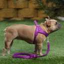 Plutus Pet No Pull Dog Harness with Breathable Mesh Padded, Adjustable Reflective Escape Proof Dog Harness, Quick Fit Dog Vest Harness for Large Dogs(L, Purple)