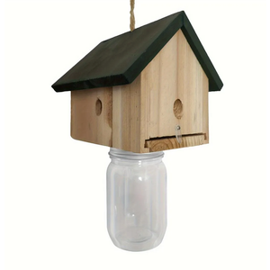 Carpenter Bee Trap Catcher Bird House design - Wood Boring Bee Trap