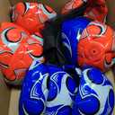 Libima 13 Pcs Soccer Ball Bulk 10 Pcs Official Size 4, 5 Soccer Ball with 2 Pump and Carry Bag Outdoor Indoor Training Practice Football Sports Party Back to School