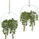 Artificial Hanging Plants Hanging Planter Fake Succulents Artificial String of Pearls with Pot and Lanyard for Home Office Wall Decoration (2 Pcs, Green)