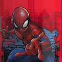 Zak Designs Marvel SpiderMan Kids Spout Cover and Built-in Carrying Loop Made of Plastic, Leak-Proof Water Bottle Design (16 oz, BPA-Free)