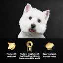 Cesar Filets in Gravy Adult Wet Dog Food Variety Pack, Filet Mignon, New York Strip and Prime Rib Flavors, 3.5 oz. Easy Peel Trays, Variety Pack, 24 Count