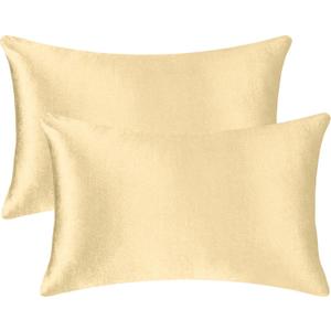 2 Pack 12x20 Pillow Cover Velvet Pillow Covers, Square Throw Pillow Covers for Living Room Decorations Throw Pillow Case, Throw Pillow Cover Cushion Cover for Home Sofa Bedroom Car, Champagne