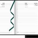 Letts of London Standard Daily Planner 2025, 8.25-inch Length, Black, Office and School Supplies