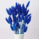 120pcs Blue Bunny Tail Pampas Grass Dried Flowers for Vase Boho Flowers Dried Babys Breath Wedding Decor Dry Flowers for Vase (Blue 120 PCS)