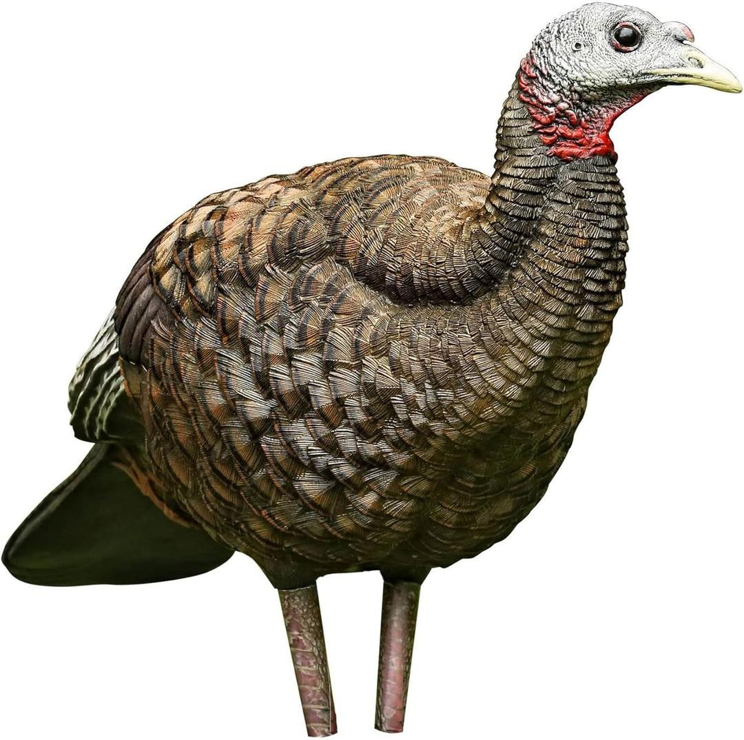 AVIAN-X LCD Breeder Hen Turkey Decoy | Durable Realistic Lifelike Collapsible Standing Hunting Decoy with Carry Bag & Stake, AVX8008