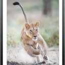 Mxtallup 18x21 Picture Frames Solid wood,Display Pictures 16x19 Inch With Mat or 18x21 Inch Without Mat, Poster Frames 16x19 in Photo Frames Wood Black (T22B1821W1619)