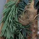 10ft Outdoor Artificial Palm Tree - UV Resistant Tall Fake Tropical Golden Cane Plant for Patio, Poolside, Lawn, Indoor Decor - Large Faux Palm Tree, Set of 1