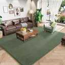 Amearea Modern Area Rugs for Bedroom Living Room, 4x6 Feet Sage Green Thickened Memory Foam Rug, Fluffy Indoor Washable Rugs Non Slip Minimalist Carpet for Kids Boys Girls Dorm Nursery Room Decor