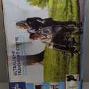 Medline Ultra Lightweight Transport Wheelchair for Adults, Foldable, 19-Inch Seat Width, Red Frame, Black Upholstery