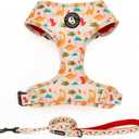 Dog Harness and Leash Set, Adjustable Dog Harness, Dog Leash, No Pull No Choke Puppy Harnesses for Walking Training for Small Medium Pet  S(Chest 13 - 19", Neck 9.5 - 13.1")