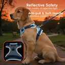 Blue Dog Harness Leash Collar Set, No Pull Reflective Dog Vest Harness with Control Handle, Adjustable Breathable Pet Harness for Small Medium Dogs Walking Training, Small