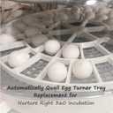 Plastic Egg Turner Tray Replacement Fits Nurture Right 360 Incubator For Hatching Eggs, Tray Attachment For Monitor Eggs From Any Angle