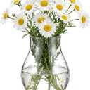 1 Pcs Daisy Icon Glasses Flower Vase, Daisy Flower Vase for Centerpiece Living Room Kitchen Office Wedding Birthday Party Supplies Gift
