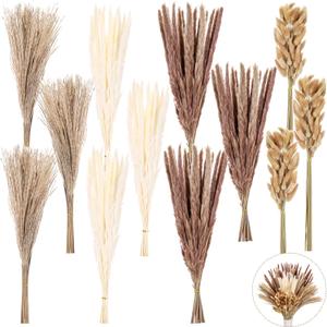 300 PCS Dried Pampas Grass Bouquet, Natural Pampas Grass Decor for Boho Wedding Home Decor, Dried Flower Bouquets for Vase Arrangements in Modern Living Room, Office, Rustic Farmhouse Party 300 PCS Dried Pampas Grass Bouquet, Natural Pampas Grass Decor for Boho Wedding Home Decor, Dried Flower Bouquets for Vase Arrangements in Modern Living Room, Office, Rustic Farmhouse Party