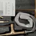 Champagne Gold Kitchen Faucet with Pull Down Sprayer