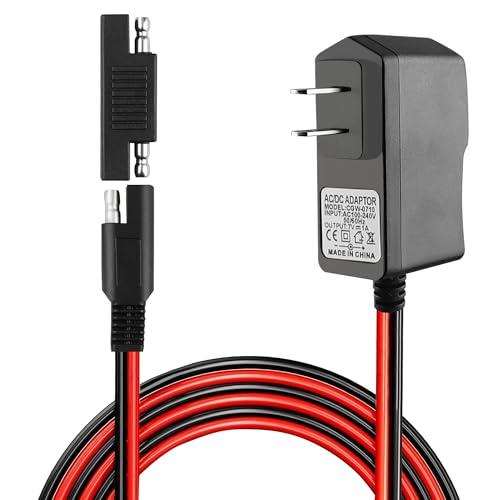 SAE Connector Charger for Kids Ride On Car Battery, BXIZXD 6 Volt Battery Charger for Disney Quad Pacific Cycle Marvel The Avenger Good Dinosaur Princess Fairies Minnie Mouse Frozen CAR McQueen ATV