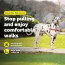 PetSafe Easy Walk Deluxe Dog Harness, No Pull Dog Harness Perfect for Leash & Harness Training Stops Pets from Pulling and Choking on Walks Large, Rose