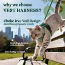 rabbitgoo Cat Harness and Leash for Walking, Escape Proof Soft Adjustable Vest Harnesses for Cats, Easy Control Breathable Reflective Strips Jacket,Rainforest Green,XS