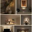 EZVALO 3-Pack Spotlight Indoor, Rechargeable Battery Picture Lights, Wireless Uplights with Remote, Dimmable, 3 Color Temperatures, Timer, Accent Lighting for Plants, Trees, Art, Displays