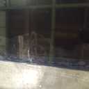 Samsung 65-Inch Class QLED Q7F Series Samsung Vision AI Smart TV (2025 Model, 65Q7F) Quantum HDR, Object Tracking Sound Lite, Q4 AI Gen1 Processor, 4K upscaling, Gaming Hub, Alexa Built-in