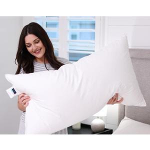 Down Pillow Queen Size, Firm Hotel Collection Bed Pillow with 100% Cotton Cover, Down Surrounded Feather Pillow, 20x30 Inches (2 Pack)