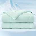 Bedsure Cooling Comforter Queen Size - Cooling Blankets for Hot Sleepers, Lightweight Comforter for Summer with Dual-Sided Cool Tech, Soft Breathable Cold Blanket for Sleeping, Green, 88x88 Inches