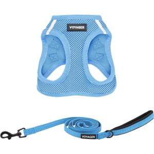 Best Pet Supplies Voyager Step-in Air All Weather Mesh Harness and Reflective Dog 5ft Leash Combo with Neoprene Handle, for Small, Breed Puppies - Set (Baby Blue), Small