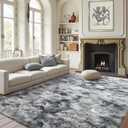 FinRec Soft Grey Rugs for Bedroom Living Room, 4x6 Feet Fuzzy Shaggy Area Rug, Non-Slip Fluffy Furry Shag Rug for Nursery Kids Room Dorm Room Home Decor, Indoor Plush Floor Carpet (Tie-dye Grey)