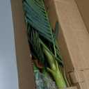 Nearly Natural 4ft Golden Cane Palm Artificial Tree