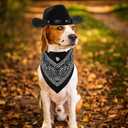 Fumwase Pet Cowboy Costume Halloween Costumes for Dogs Cat Puppy Hats with Bandana Scarf Cowboy Costume Accessories Dog Cat for Party Festival and Daily Wearing (Black, Large)