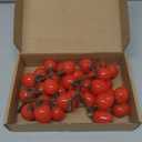 PH PandaHall 2 Pack Artificial Cherry Tomatoes 6.1 inch Long Artificial Fruit Lifelike Simulation Tomato Red Tomatoes Decoration Faux Fruit Props for Home Kitchen Cabinet Party Pretending Prop
