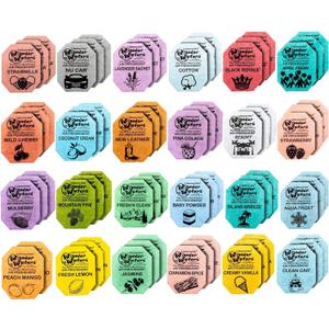 Wonder Wafers Car Air Freshener Wafers Variety Pack of 72 - Individually Wrapped Air Fresheners - 24 Scents Car Fresheners (72 Pack 24 Scents)