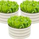 SnugNiture 3 Pcs 2x2x1ft Round Galvanized Raised Garden Bed Kit Outdoor, Metal Planter Box for Planting Plants Vegetables, White