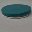 SoulThink Ant Proof Cat Dog Bowl Tray - New Innovation Anti Ant Pet Food Dish Indoor No Chemical No Water Needed Different from Traditional Ant Trap (Turquoise Green)