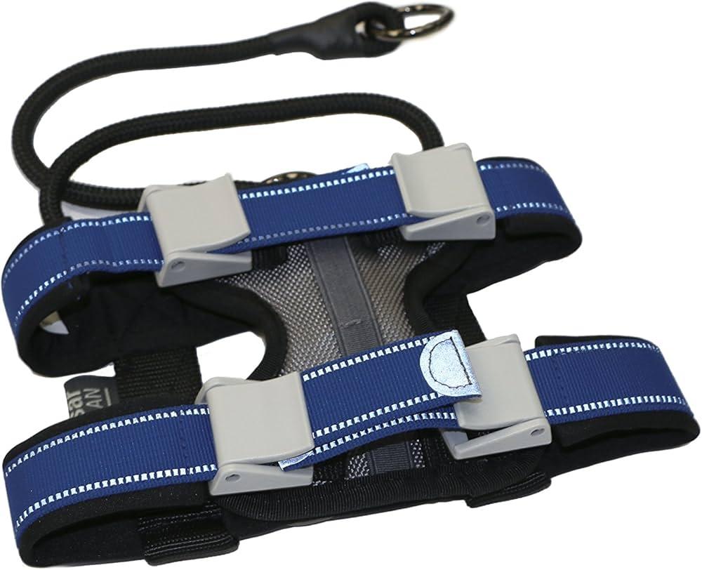 Cesar Millan Pack Leader Collar - Training Collar of The Dog Whisperer (Large, Blue)