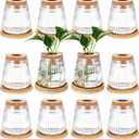 Baderke 12 Packs Propagation Vases for Plants Plastic Plant Propagation with Hole Lid and Bamboo Stand Growing in Water Hydroponic Home Office Desktop Vase Decoration